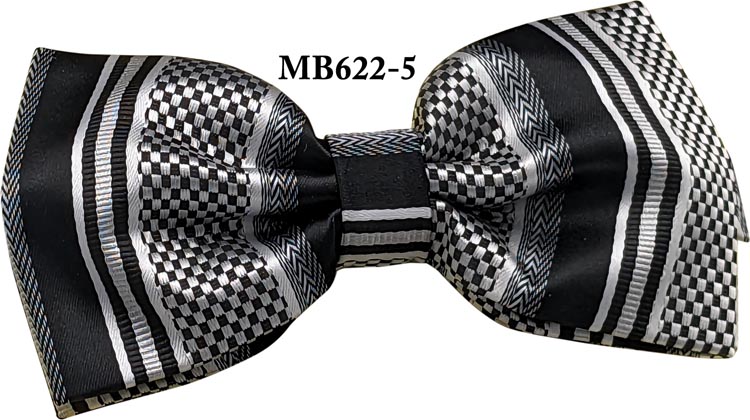 FAncy Bow Tie with Hanky